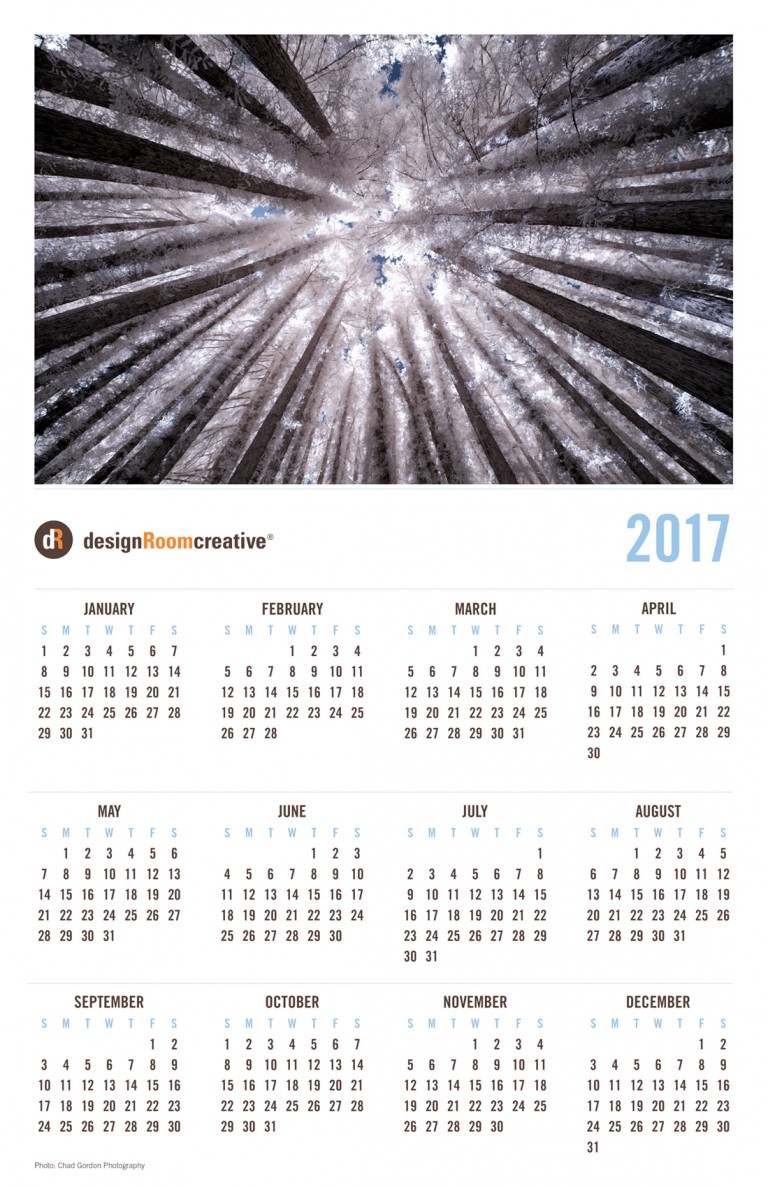 free-2017-calendar-download-designroom